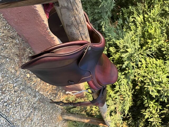 Selle Cwd SE02 17” état impeccable