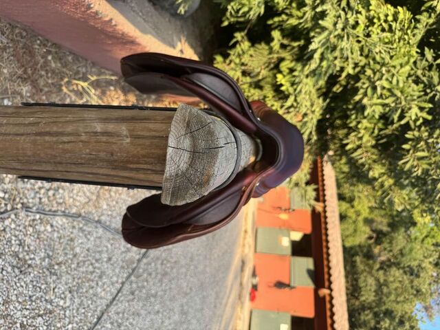 Selle Cwd SE02 17” état impeccable