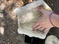 guetres fermer mouton Kentucky