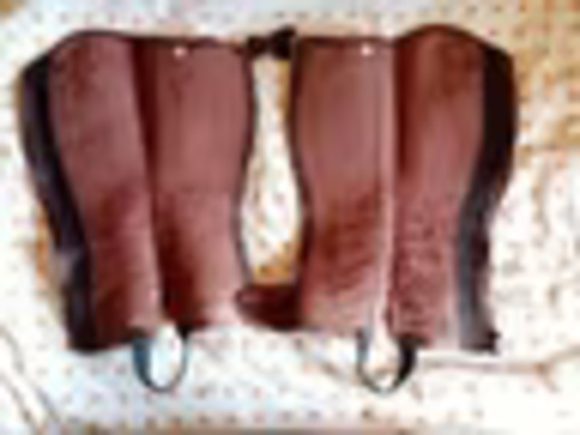 Mini Chaps Equiconfort Maestro S