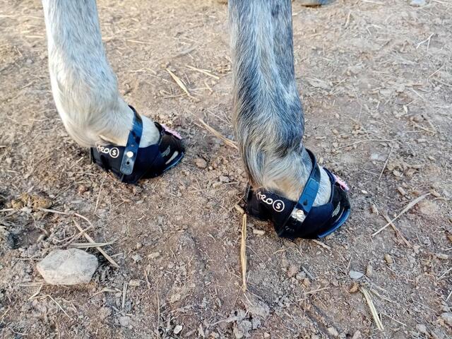 Scootboots Taille 2