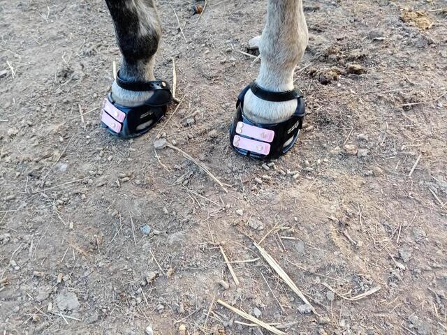 Scootboots Taille 2