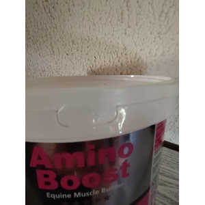 Amino Boost