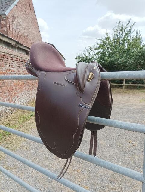Selle de randonnée stock