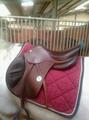 Selle Meyer mixte