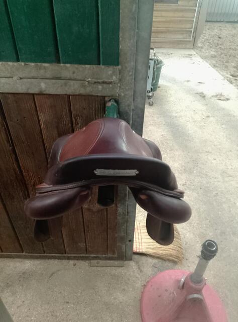 Selle Meyer mixte