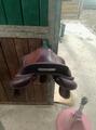 Selle Meyer mixte