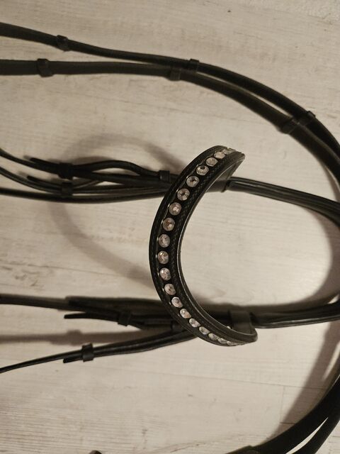 Bridon dressage NIBAGO