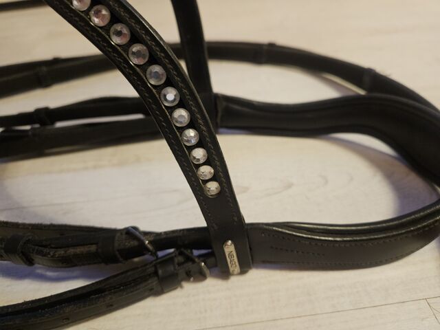 Bridon dressage NIBAGO