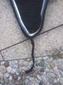 Bonnet long noir