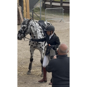 Veste concours Komutekir
