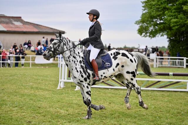Veste concours Komutekir
