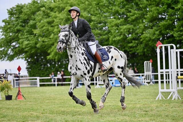 Veste concours Komutekir