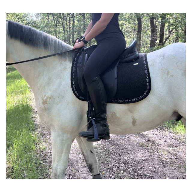 Selle dressage Time Rider Platinium