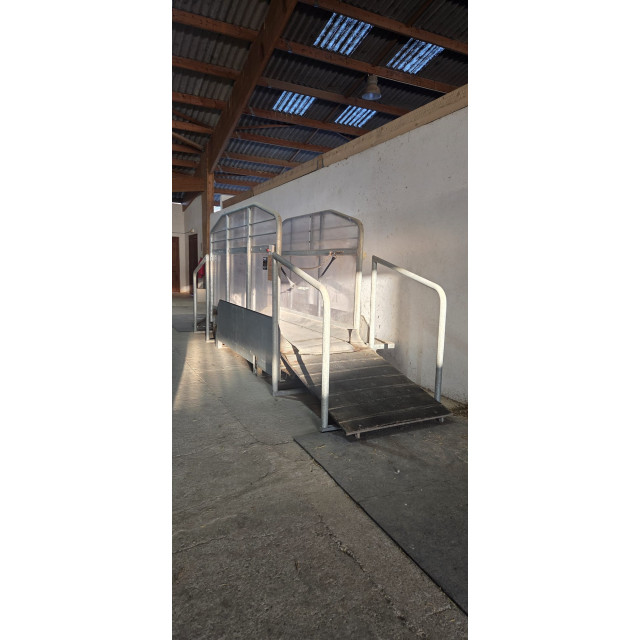 Tapis Roulant Hippocenter