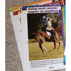lot de fiches cheval