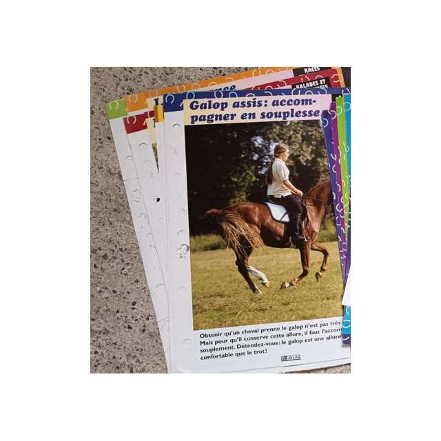 lot de fiches cheval