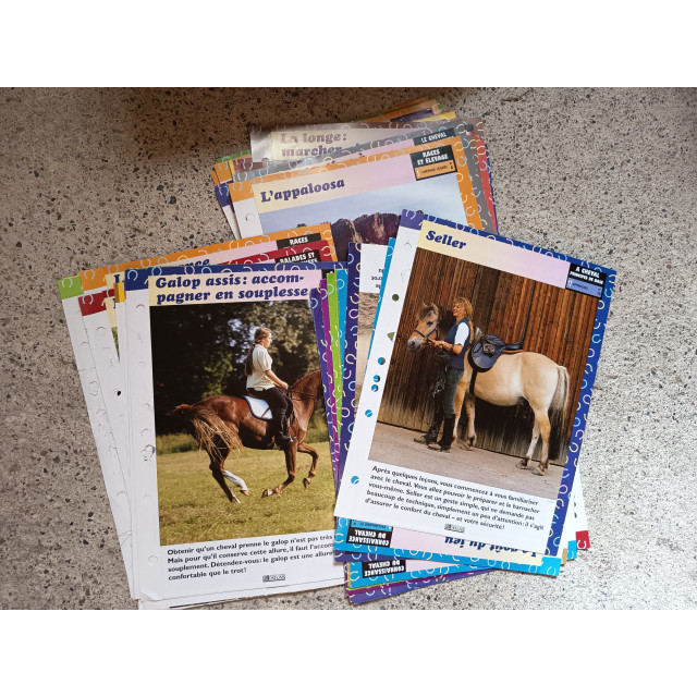 lot de fiches cheval