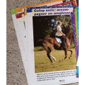 lot de fiches cheval