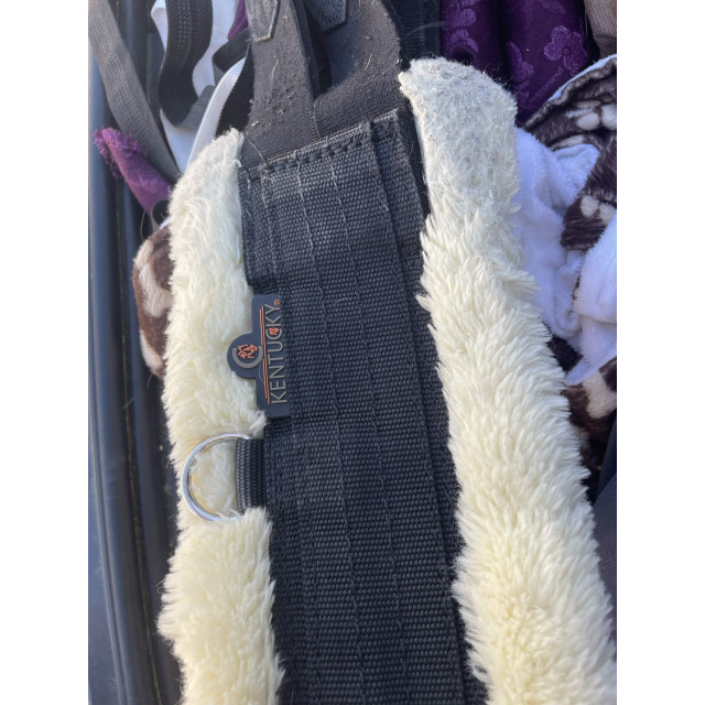 Sangle Kentucky noire mouton 125
