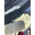 Sangle Kentucky noire mouton 125