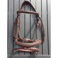 Bridon poney Time Rider