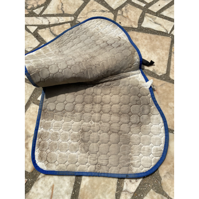 Tapis Equiline noir et liseré bleu roi