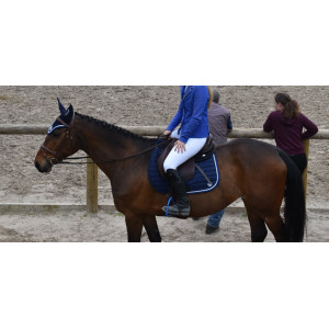 Ensemble Tapis + Bonnet Dapple Equestrian - Bleu Marine & Strass (taille cheval)