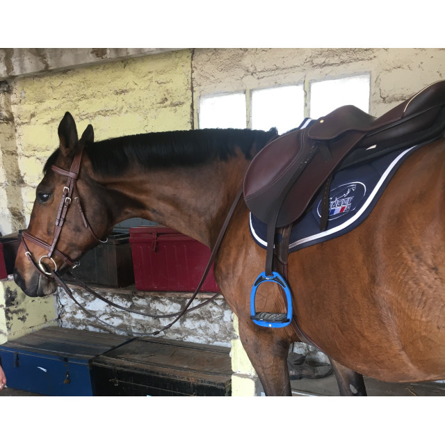 Selle d’obstacle Jump’In ONE 17,5” (2018) - Havane