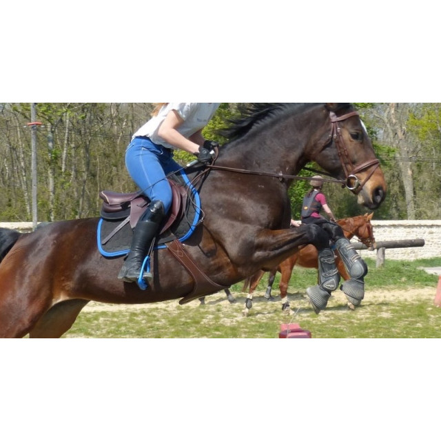 Selle d’obstacle Jump’In ONE 17,5” (2018) - Havane
