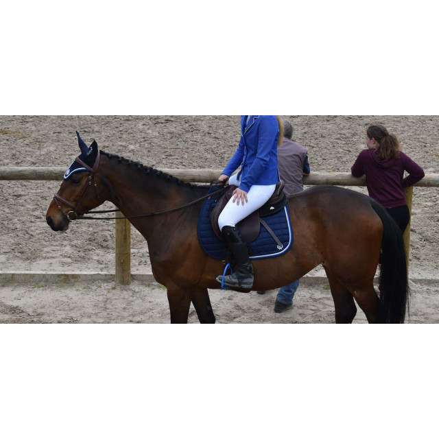 Amortisseur Acavallo Memoire de forme & AC Grip System - Noir