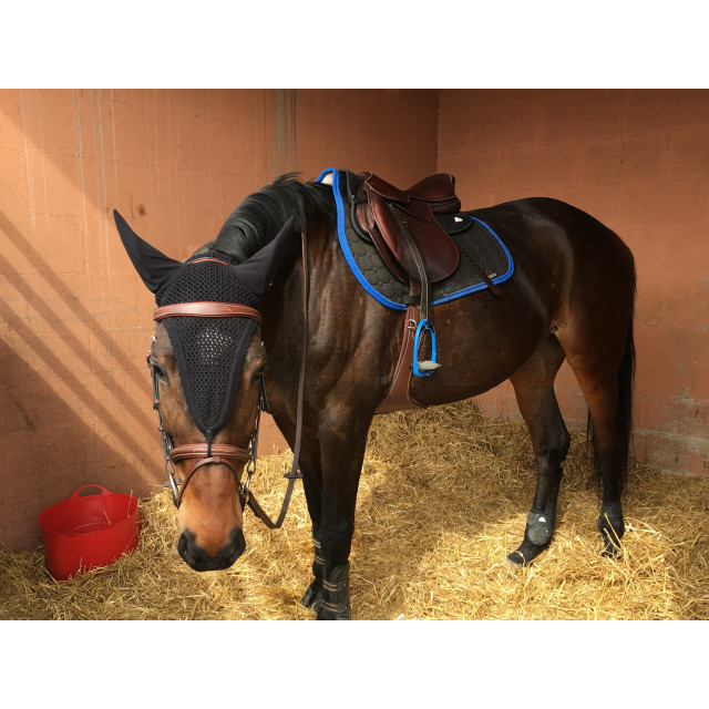 Amortisseur Acavallo Memoire de forme & AC Grip System - Noir
