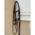 Bridon anatomique Dapple Equestrian Havane (Full/Cob) + Rênes + Mors