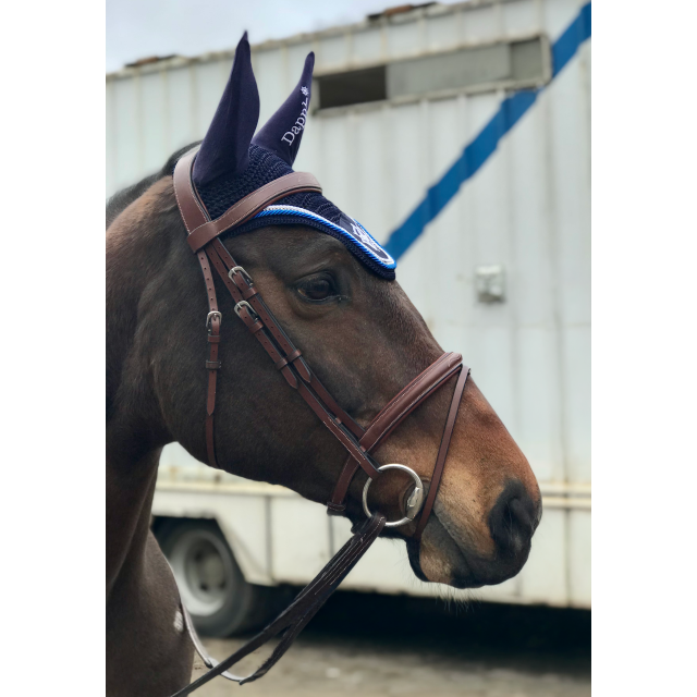 Bridon anatomique Dapple Equestrian Havane (Full/Cob) + Rênes + Mors