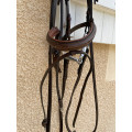 Bridon anatomique Dapple Equestrian Havane (Full/Cob) + Rênes + Mors