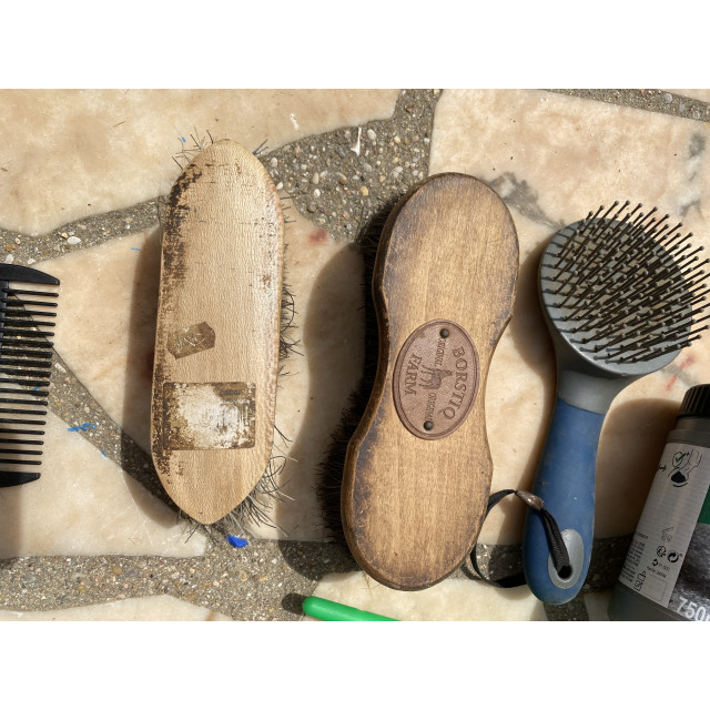 Lot de pansage complet + Brosse Borstiq & Onguent Sabot