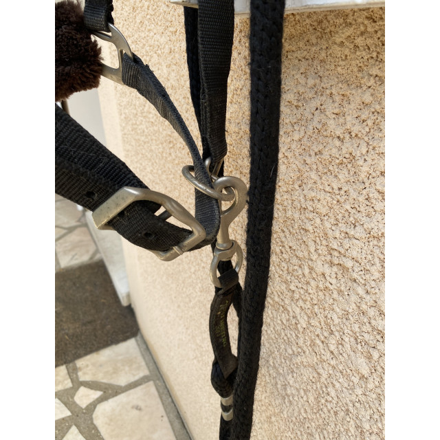 Licol nylon noir avec moumoute muserolle marron + Longe (Taille Cheval)