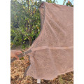 Chemise séchante nids d'abeilles