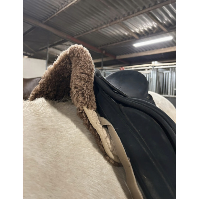Selle de dressage Isabell Werth