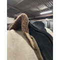 Selle de dressage Isabell Werth