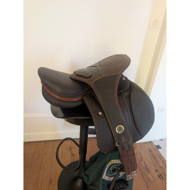 Forestier Seoul Sport 17,5" – Excellent état