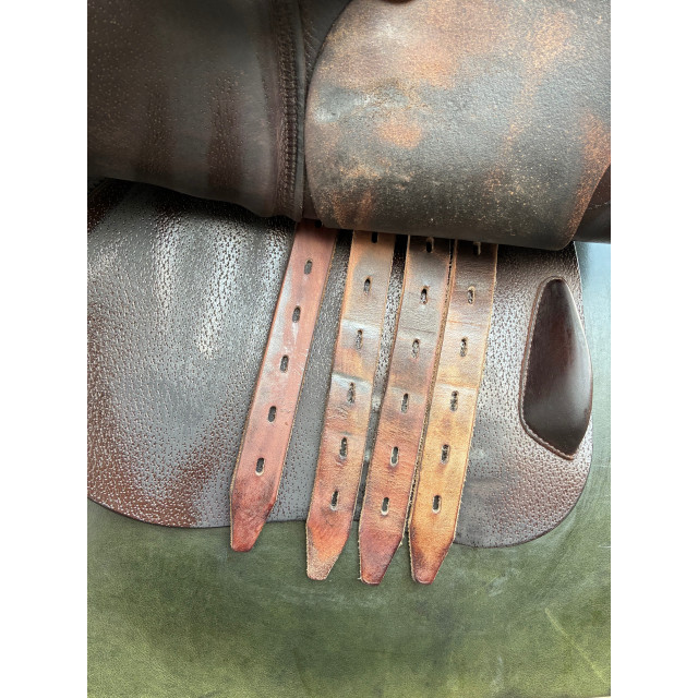Selle Amerigo 2023