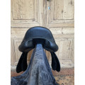 Selle Forestier Séoul 17,5