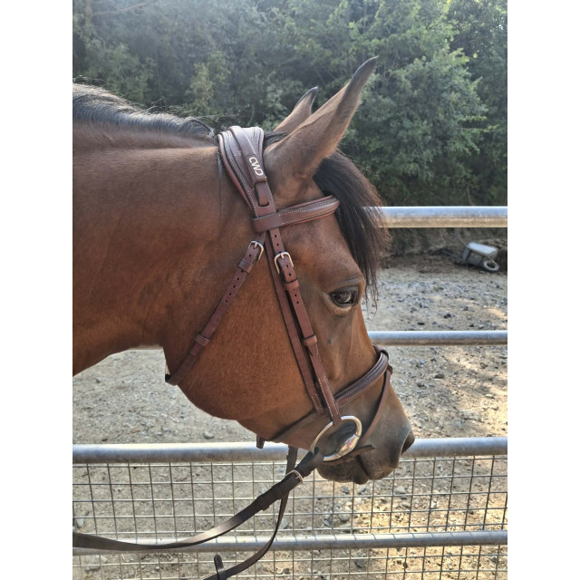 Bridon cwd