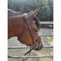 Bridon cwd