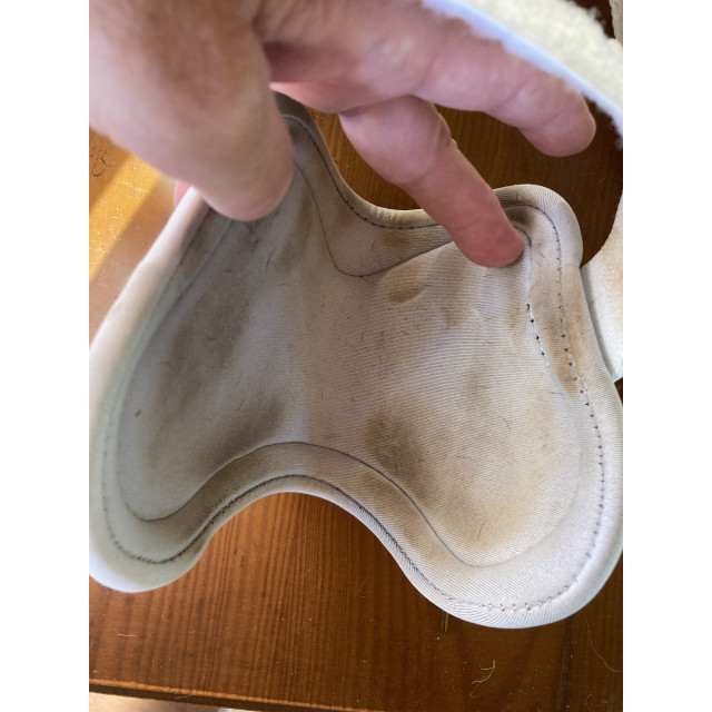 Ensemble de protège-tendons et protège-boulets, blanc, taille Cob
