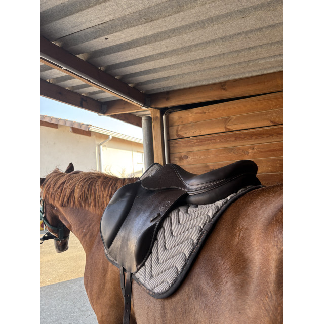 Selle Forestier Boekelo 17,5”, 2025