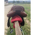 Selle CWD