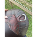 Sangle bavette CWD