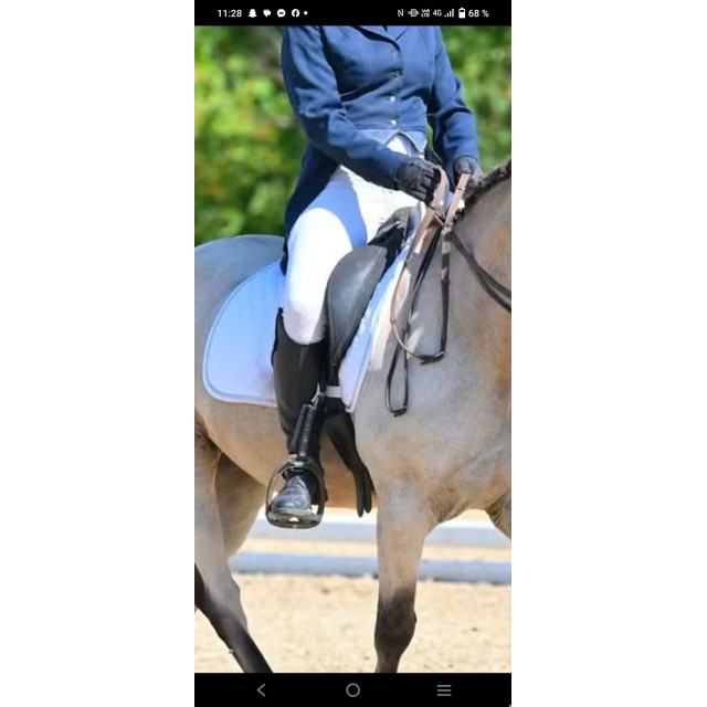 Selle dressage pro wintec contourbloc